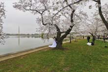 Worldwide Panorama March 2012